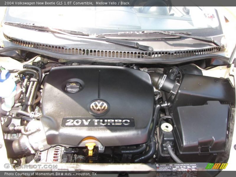 Mellow Yello / Black 2004 Volkswagen New Beetle GLS 1.8T Convertible