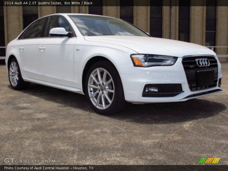 Ibis White / Black 2014 Audi A4 2.0T quattro Sedan