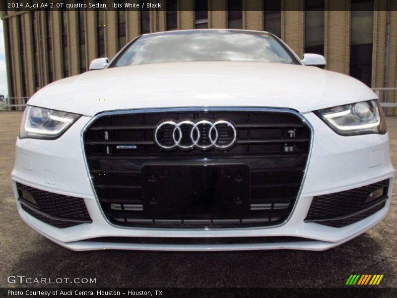Ibis White / Black 2014 Audi A4 2.0T quattro Sedan