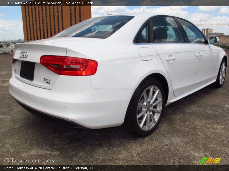 Ibis White / Black 2014 Audi A4 2.0T quattro Sedan