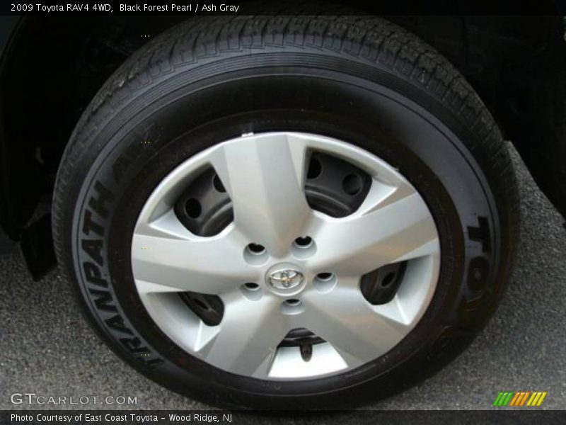 Black Forest Pearl / Ash Gray 2009 Toyota RAV4 4WD