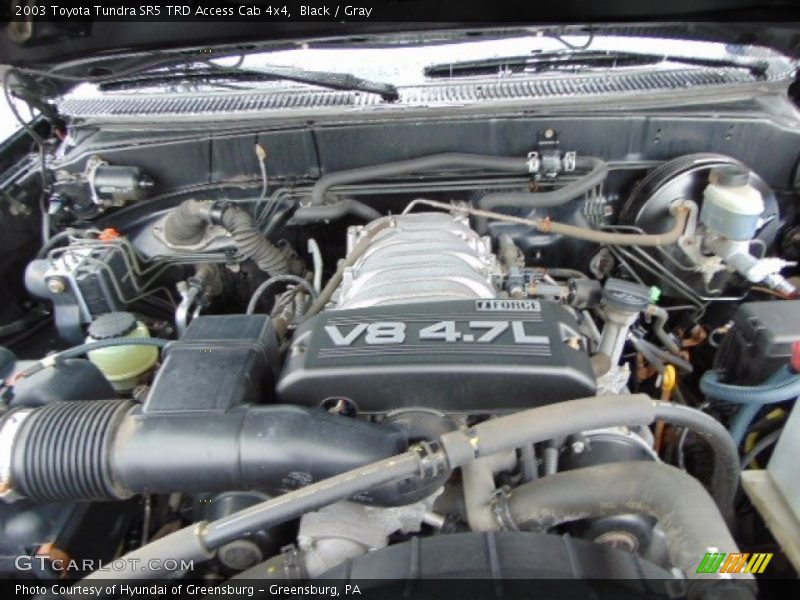 Black / Gray 2003 Toyota Tundra SR5 TRD Access Cab 4x4