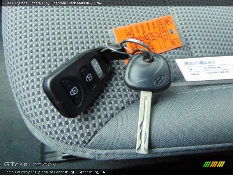 Phantom Black Metallic / Gray 2014 Hyundai Sonata GLS