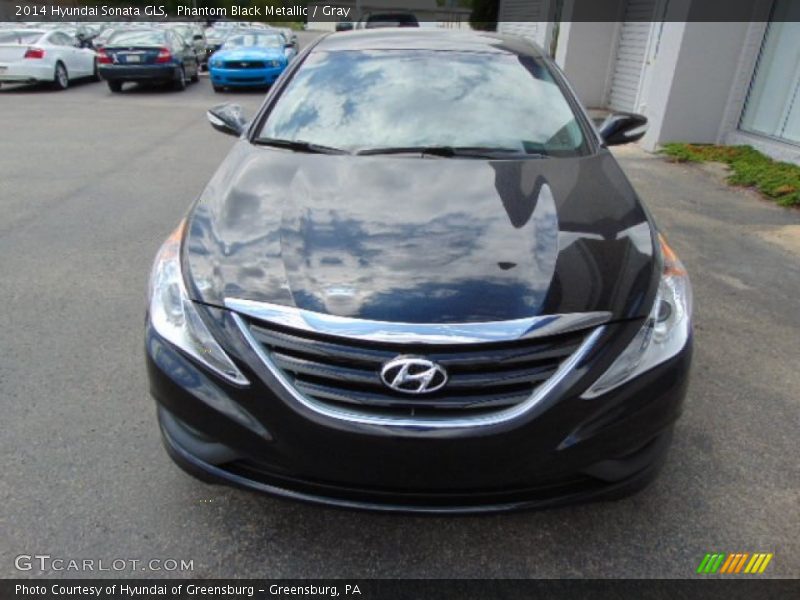 Phantom Black Metallic / Gray 2014 Hyundai Sonata GLS