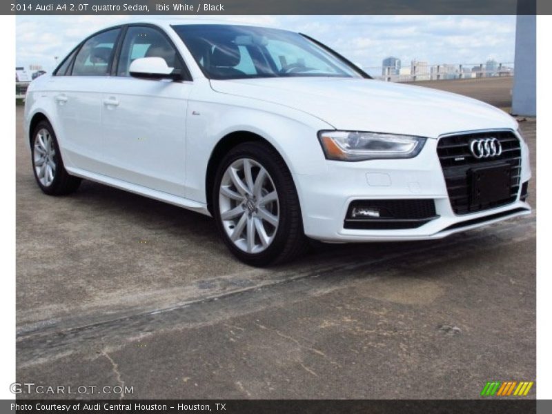 Ibis White / Black 2014 Audi A4 2.0T quattro Sedan