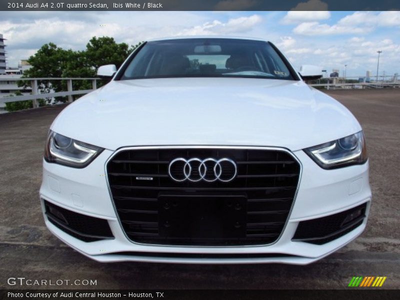 Ibis White / Black 2014 Audi A4 2.0T quattro Sedan