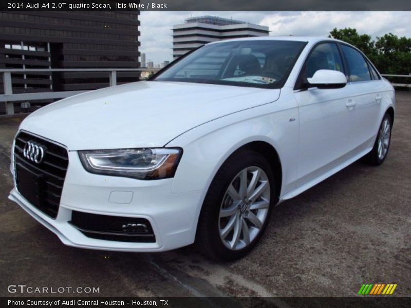 Ibis White / Black 2014 Audi A4 2.0T quattro Sedan