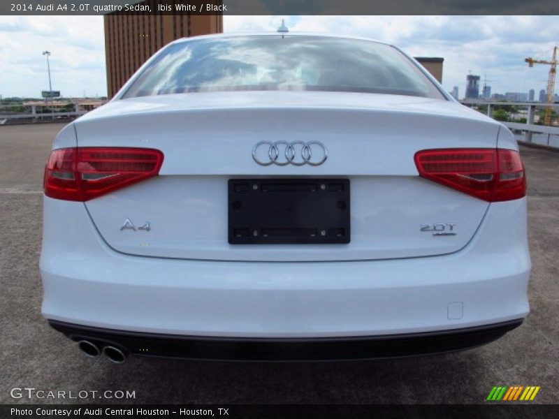 Ibis White / Black 2014 Audi A4 2.0T quattro Sedan