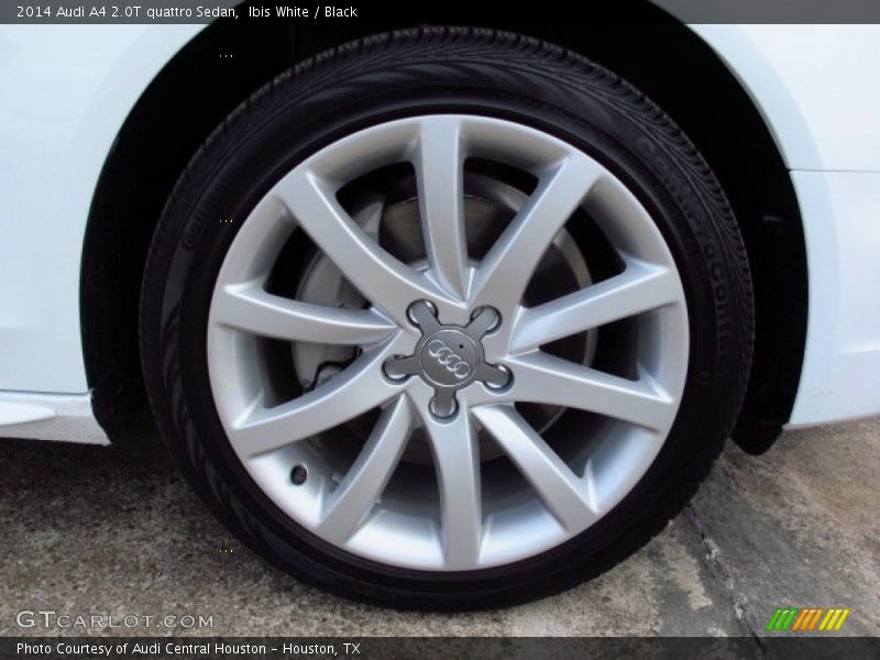 Ibis White / Black 2014 Audi A4 2.0T quattro Sedan