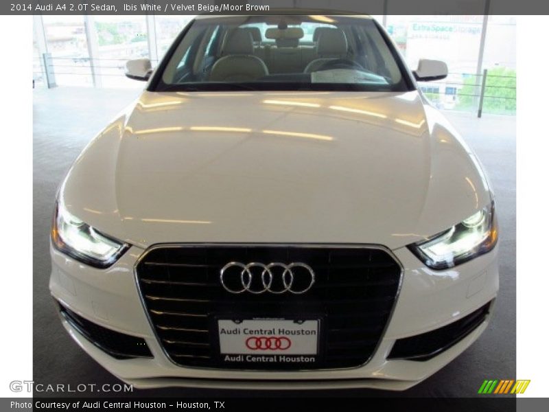 Ibis White / Velvet Beige/Moor Brown 2014 Audi A4 2.0T Sedan