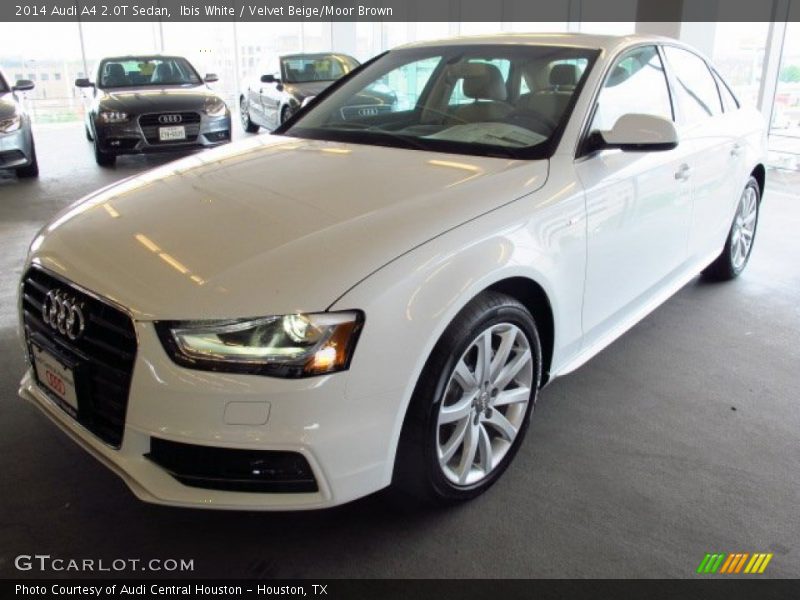 Ibis White / Velvet Beige/Moor Brown 2014 Audi A4 2.0T Sedan