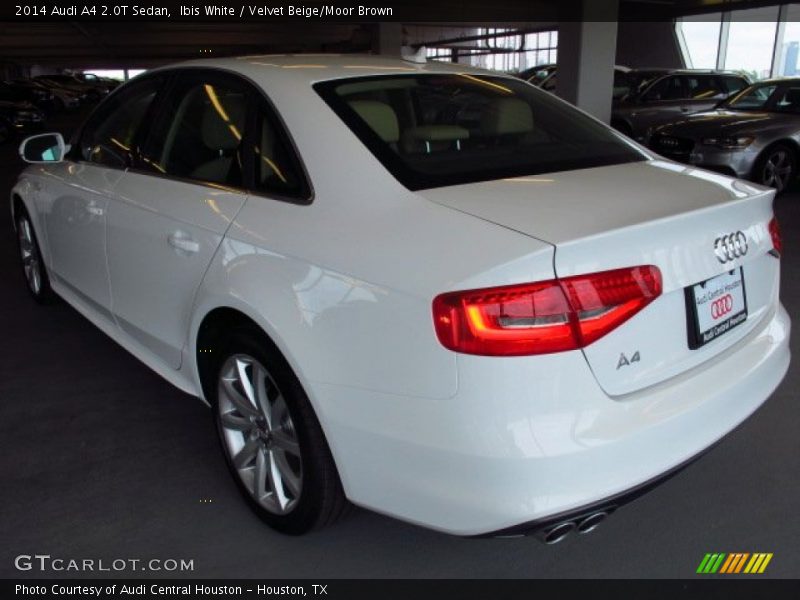 Ibis White / Velvet Beige/Moor Brown 2014 Audi A4 2.0T Sedan