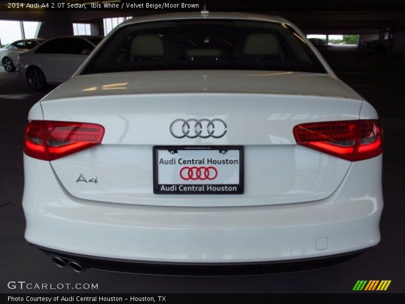 Ibis White / Velvet Beige/Moor Brown 2014 Audi A4 2.0T Sedan