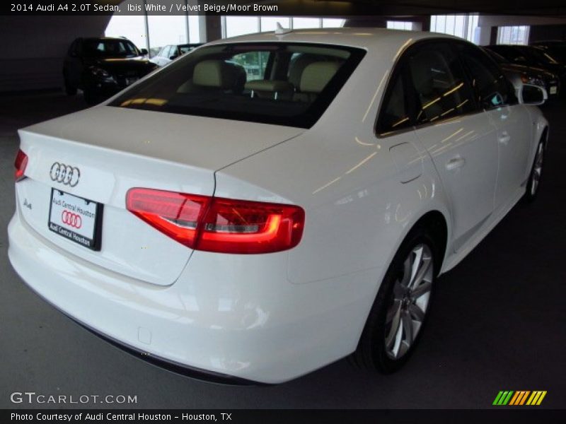 Ibis White / Velvet Beige/Moor Brown 2014 Audi A4 2.0T Sedan