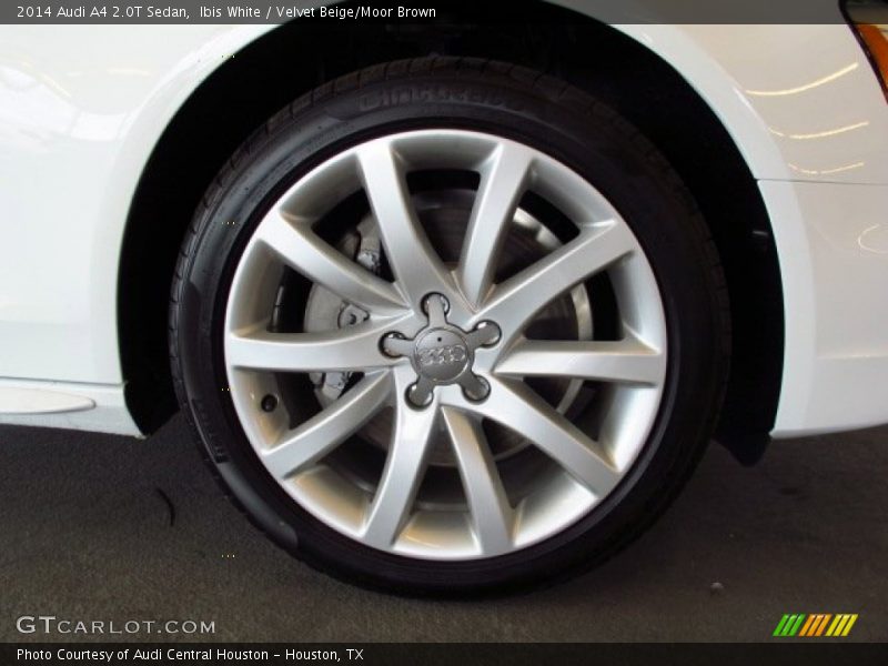 Ibis White / Velvet Beige/Moor Brown 2014 Audi A4 2.0T Sedan