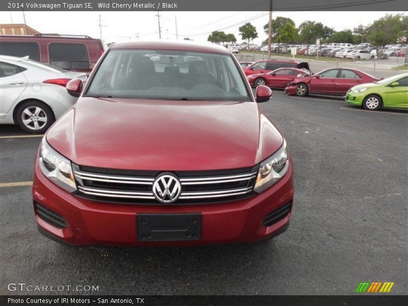 Wild Cherry Metallic / Black 2014 Volkswagen Tiguan SE