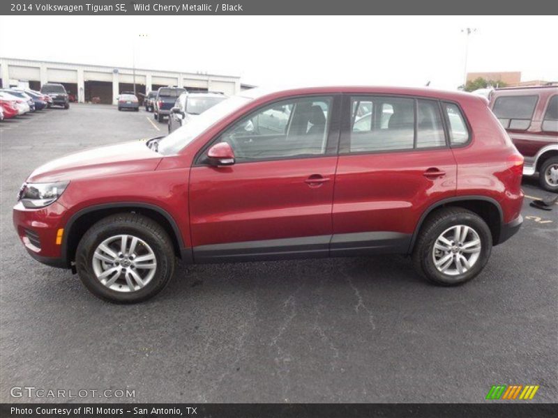 Wild Cherry Metallic / Black 2014 Volkswagen Tiguan SE