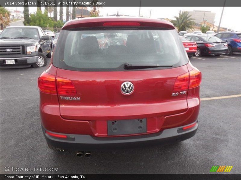 Wild Cherry Metallic / Black 2014 Volkswagen Tiguan SE