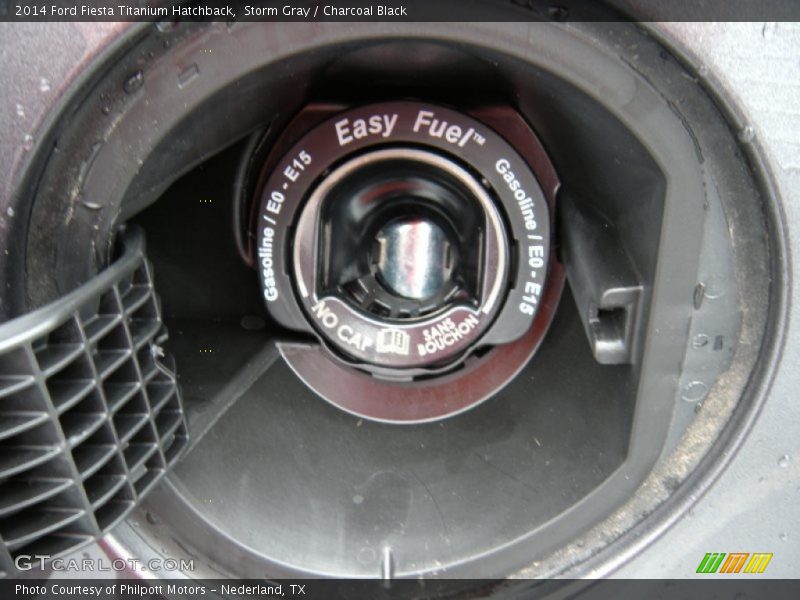 Storm Gray / Charcoal Black 2014 Ford Fiesta Titanium Hatchback