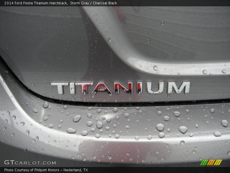 Storm Gray / Charcoal Black 2014 Ford Fiesta Titanium Hatchback