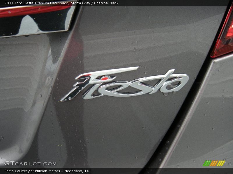 Storm Gray / Charcoal Black 2014 Ford Fiesta Titanium Hatchback