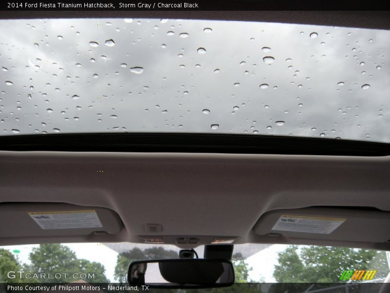 Storm Gray / Charcoal Black 2014 Ford Fiesta Titanium Hatchback