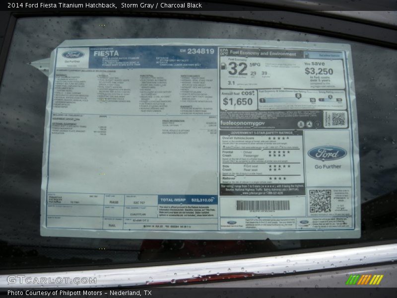 Storm Gray / Charcoal Black 2014 Ford Fiesta Titanium Hatchback