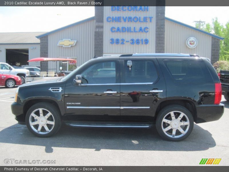 Black Raven / Ebony 2010 Cadillac Escalade Luxury AWD