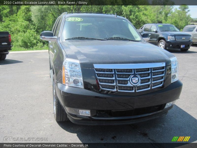 Black Raven / Ebony 2010 Cadillac Escalade Luxury AWD