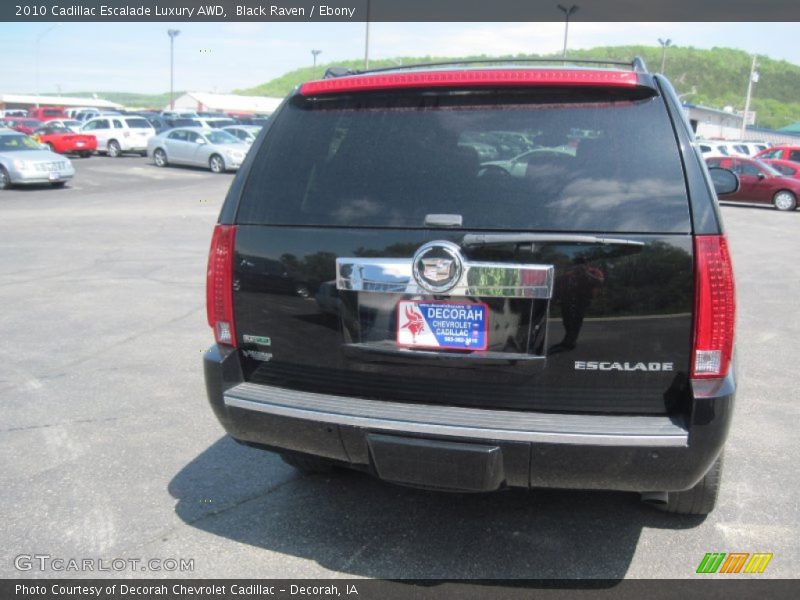 Black Raven / Ebony 2010 Cadillac Escalade Luxury AWD