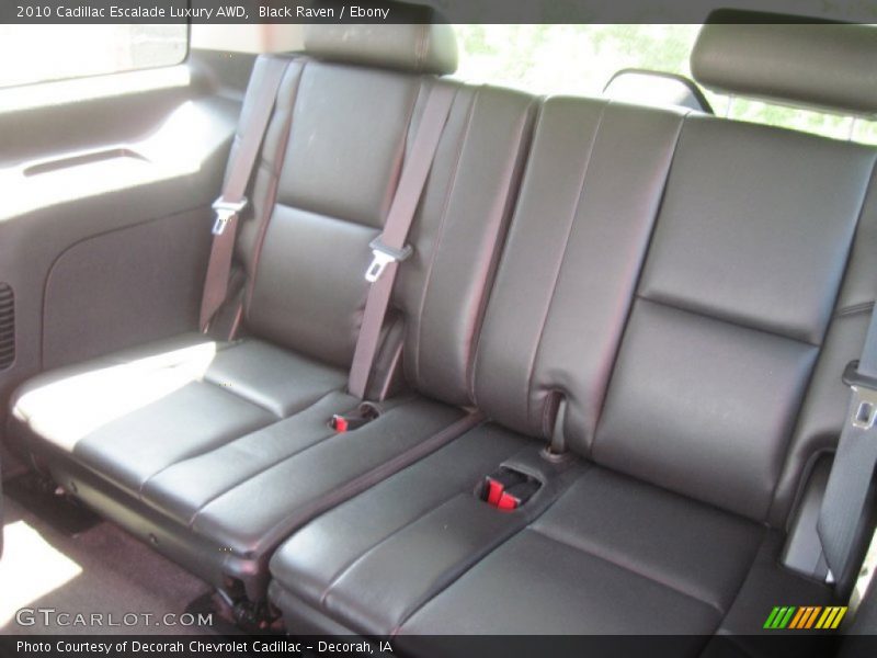 Black Raven / Ebony 2010 Cadillac Escalade Luxury AWD