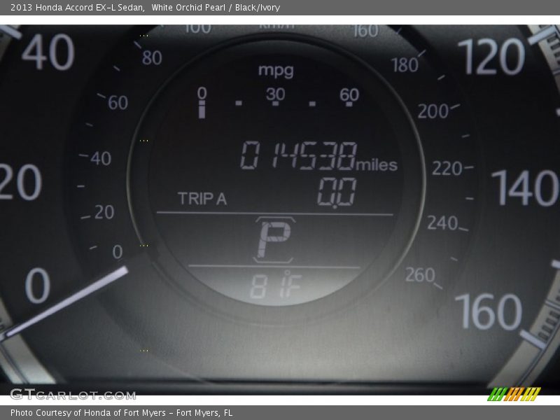 White Orchid Pearl / Black/Ivory 2013 Honda Accord EX-L Sedan