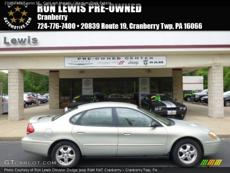 Gold Ash Metallic / Medium/Dark Pebble 2005 Ford Taurus SE