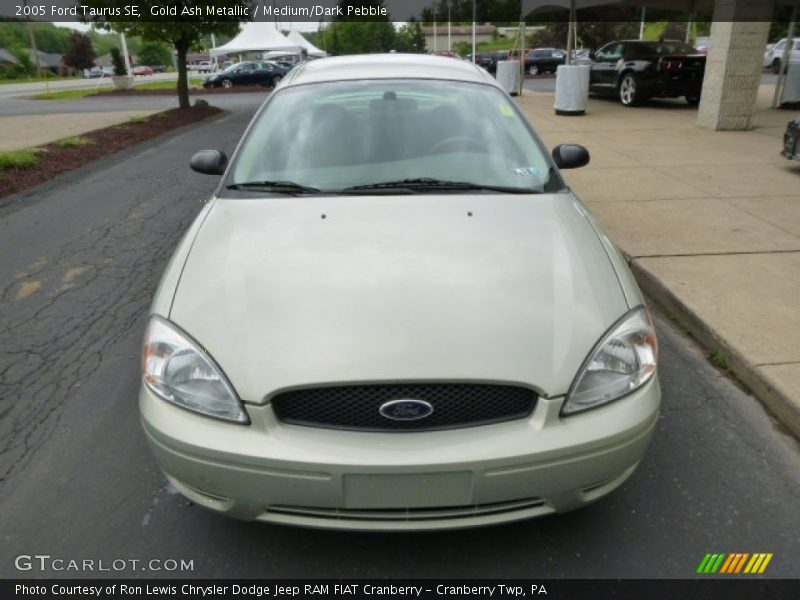 Gold Ash Metallic / Medium/Dark Pebble 2005 Ford Taurus SE