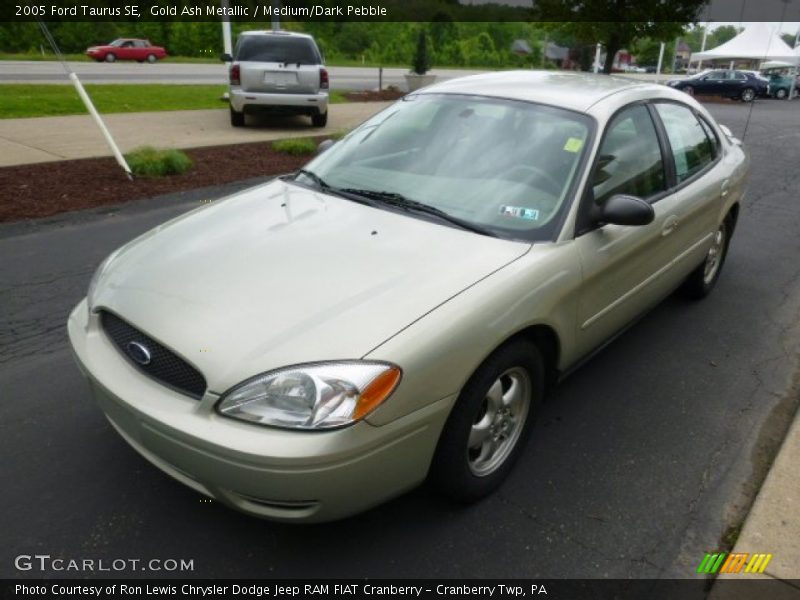 Gold Ash Metallic / Medium/Dark Pebble 2005 Ford Taurus SE