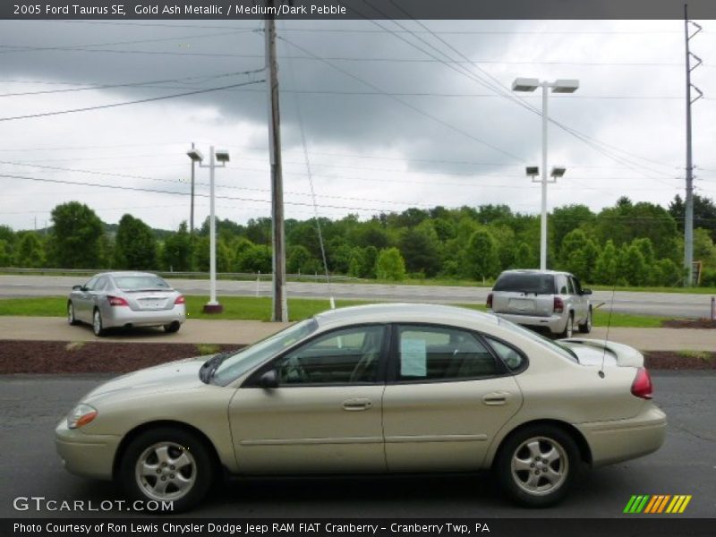 Gold Ash Metallic / Medium/Dark Pebble 2005 Ford Taurus SE