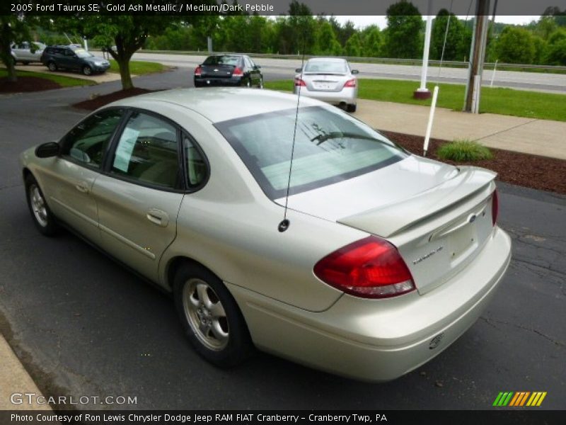 Gold Ash Metallic / Medium/Dark Pebble 2005 Ford Taurus SE