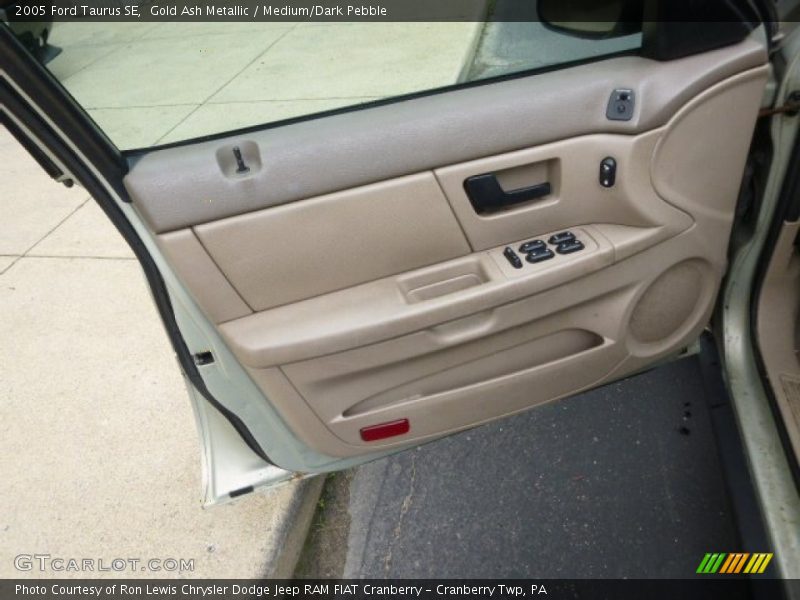 Gold Ash Metallic / Medium/Dark Pebble 2005 Ford Taurus SE