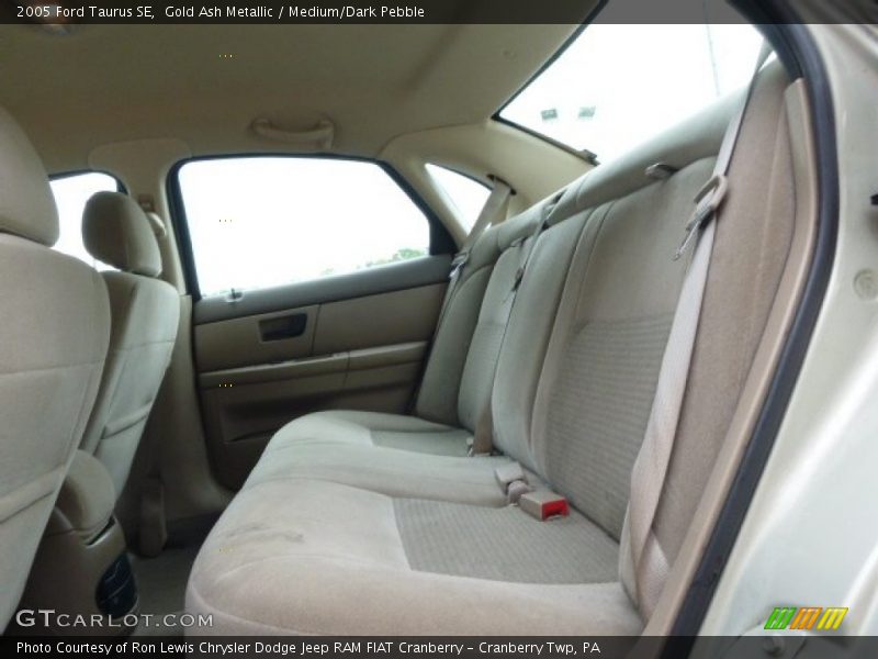 Gold Ash Metallic / Medium/Dark Pebble 2005 Ford Taurus SE
