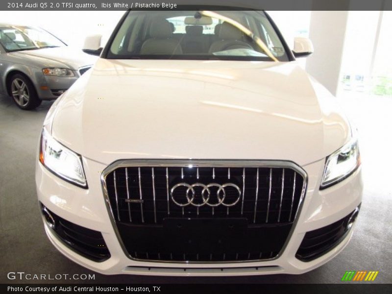 Ibis White / Pistachio Beige 2014 Audi Q5 2.0 TFSI quattro