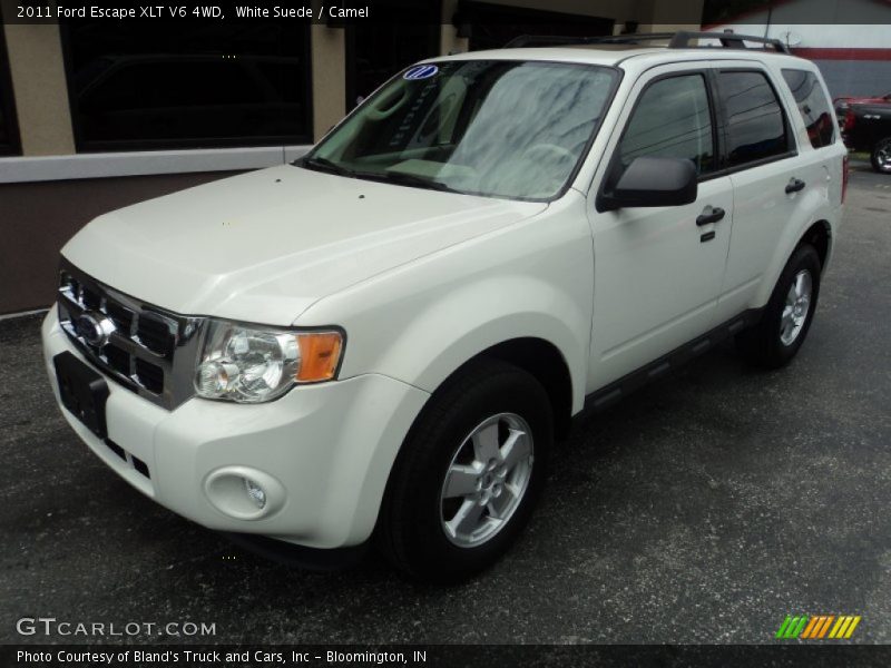 White Suede / Camel 2011 Ford Escape XLT V6 4WD