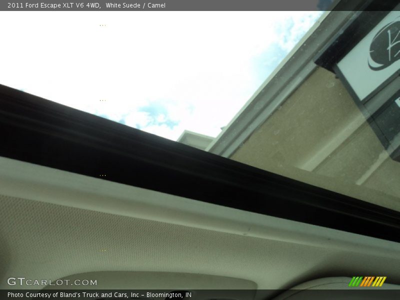 White Suede / Camel 2011 Ford Escape XLT V6 4WD