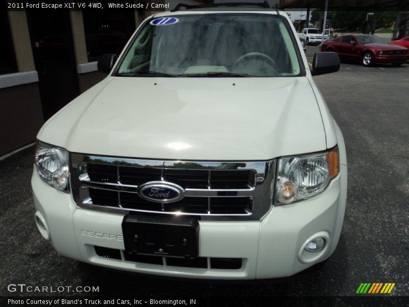 White Suede / Camel 2011 Ford Escape XLT V6 4WD