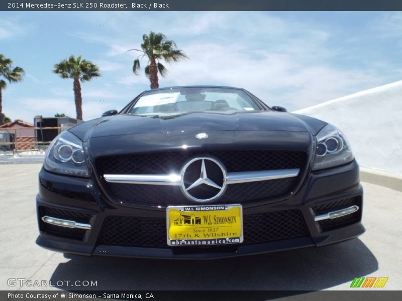 Black / Black 2014 Mercedes-Benz SLK 250 Roadster