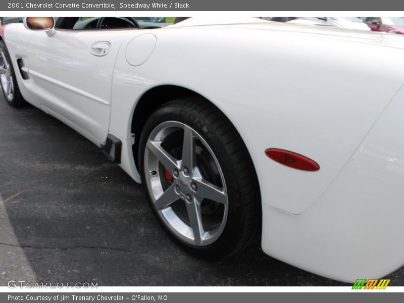 Speedway White / Black 2001 Chevrolet Corvette Convertible