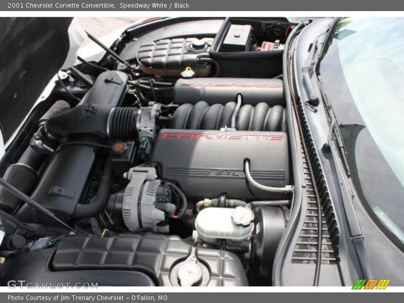 Speedway White / Black 2001 Chevrolet Corvette Convertible