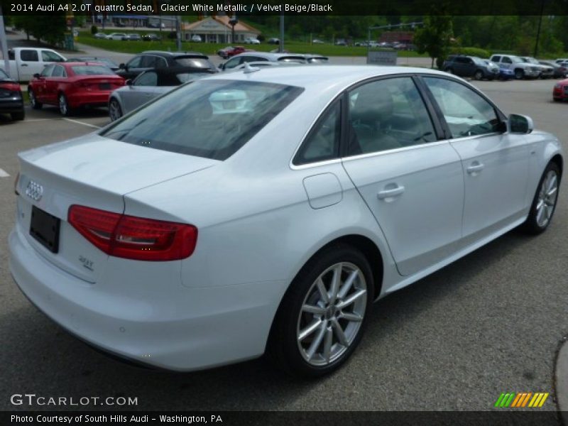 Glacier White Metallic / Velvet Beige/Black 2014 Audi A4 2.0T quattro Sedan