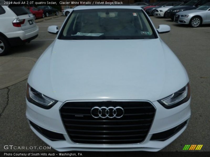 Glacier White Metallic / Velvet Beige/Black 2014 Audi A4 2.0T quattro Sedan