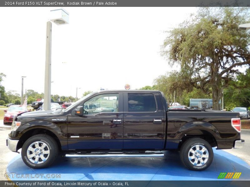 Kodiak Brown / Pale Adobe 2014 Ford F150 XLT SuperCrew
