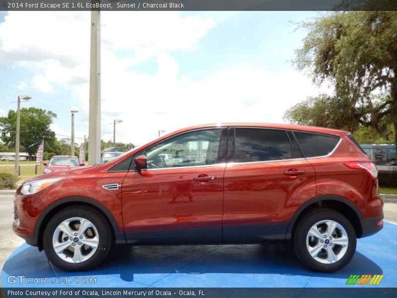 Sunset / Charcoal Black 2014 Ford Escape SE 1.6L EcoBoost